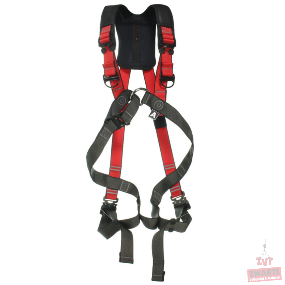 Edge Dynamic Toronto Scaffolding: harness