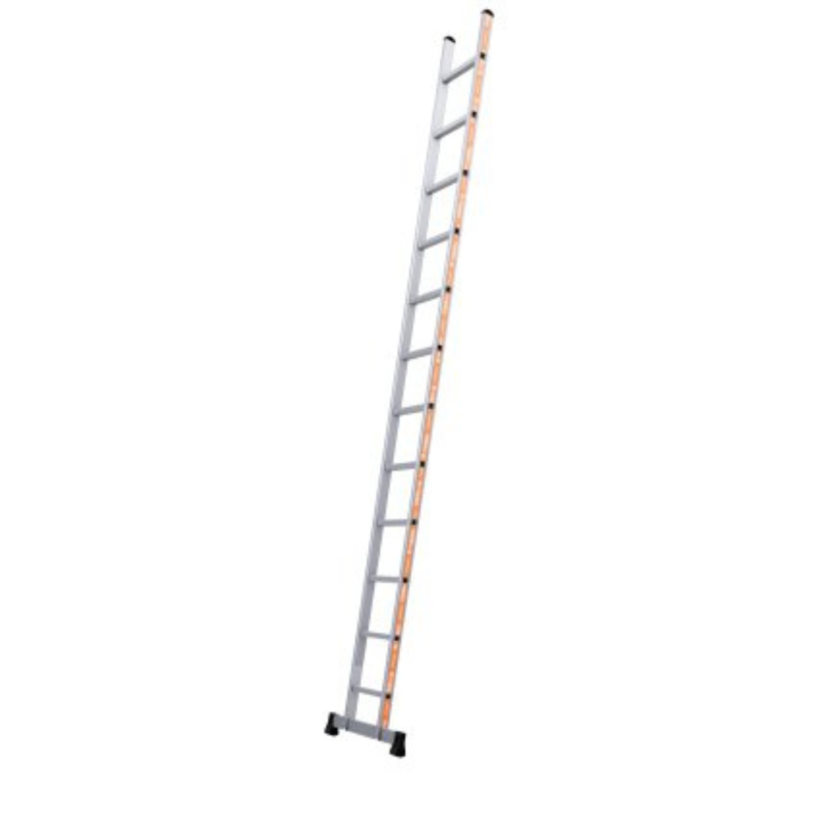 Wienese Base-Line Single Ladder