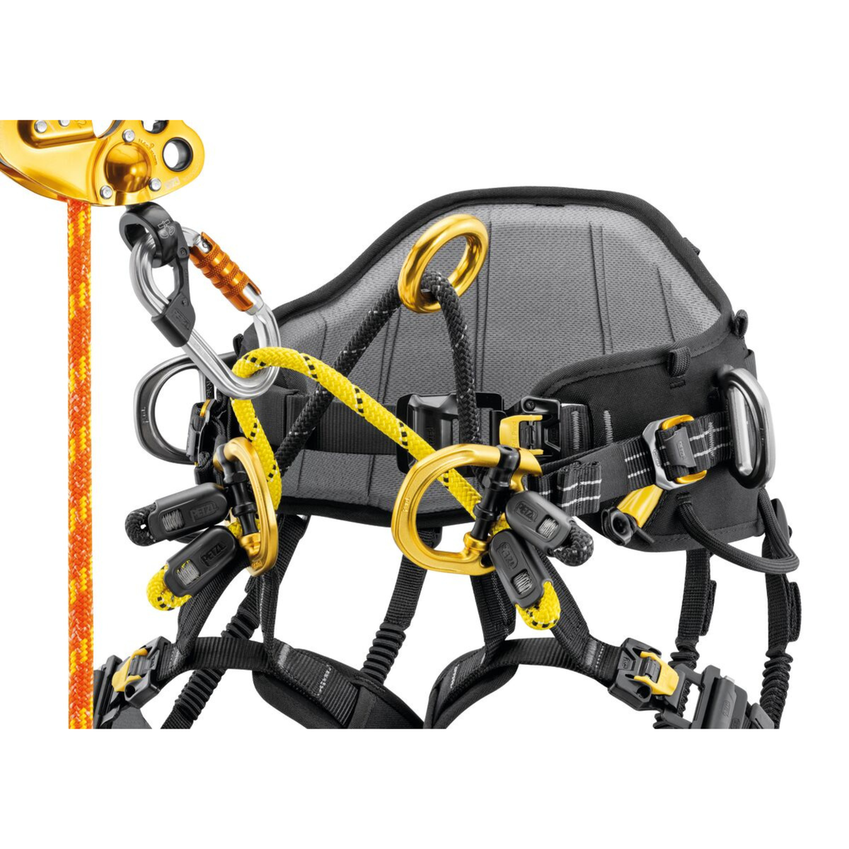 Petzl Sequoia Plus zit harnas voor boom verzorging