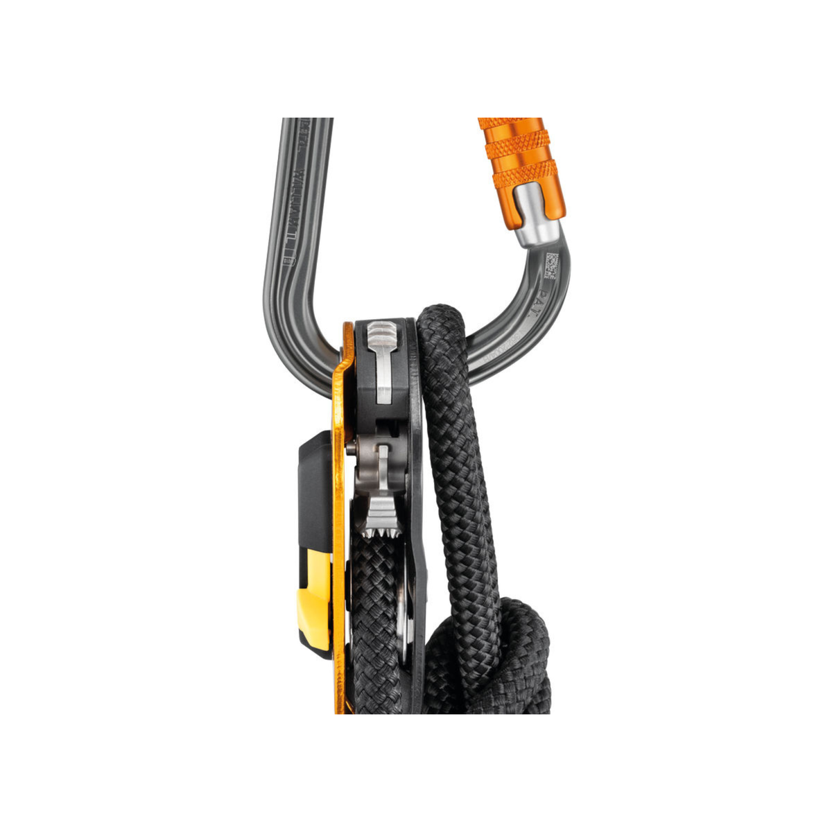 Petzl William Carabiner