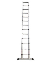 Wienese Supreme Telescopic Ladder