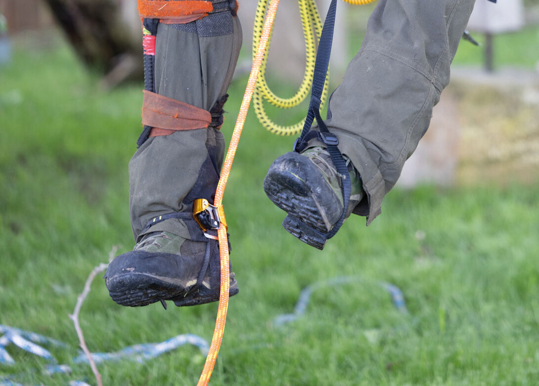 Petzl PANTIN CLICK voetklem voor touwklimmen